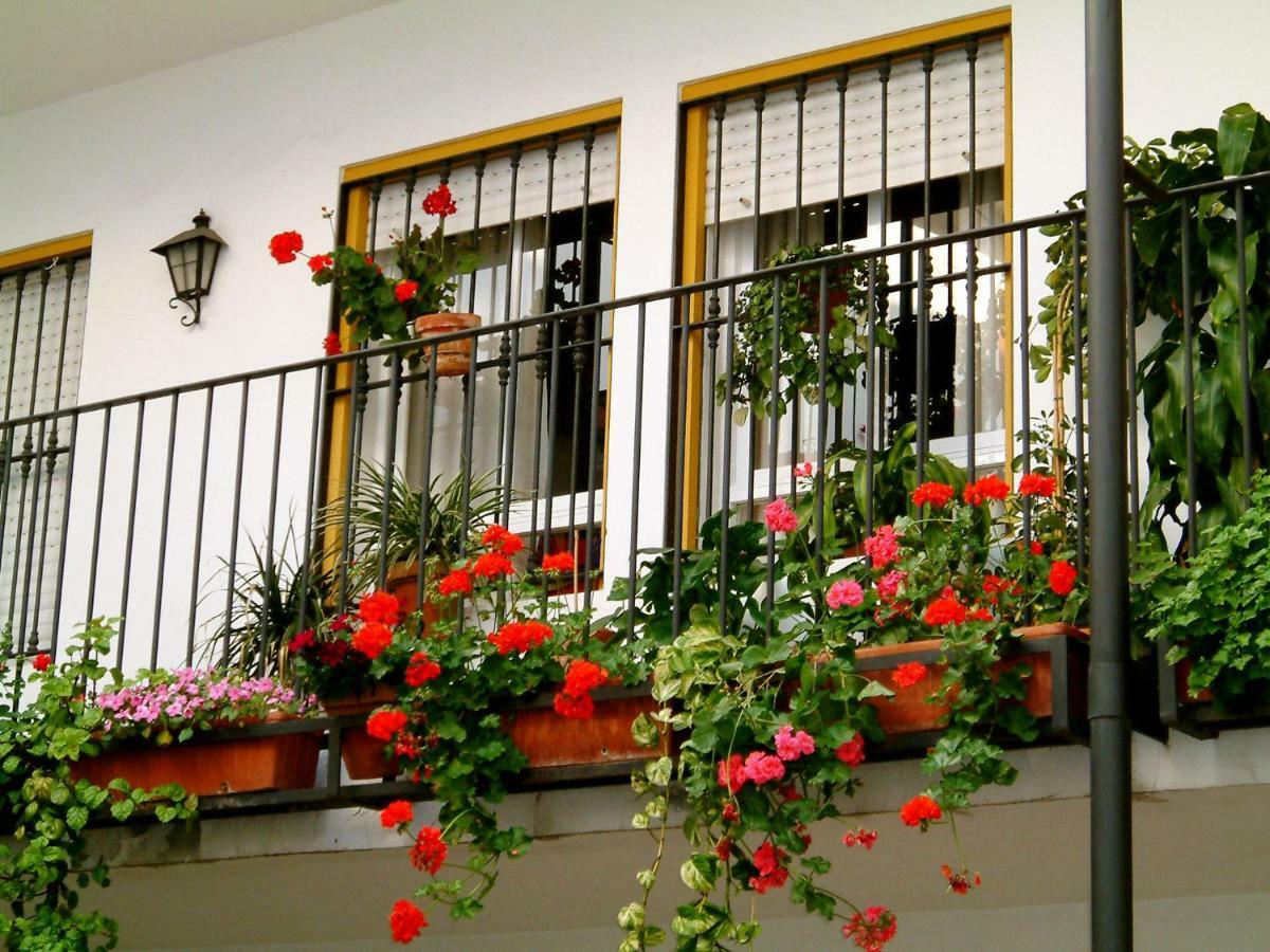 Rentalsevilla San Clemente * Séville
